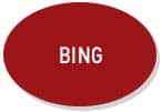 Οβάλ κουμπί κατηγορίας BING με λευκά κεφαλαία γράμματα σε κόκκινο φόντο.